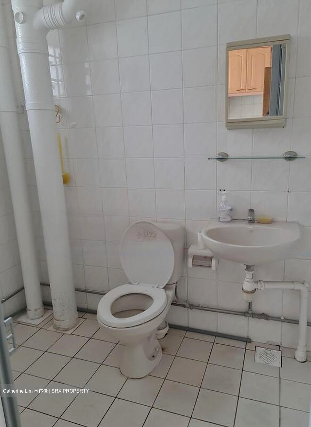 Blk 233 Compassvale Plains (Sengkang), HDB 5 Rooms #569752111